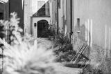preview bw