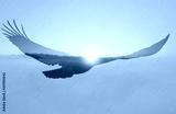 preview cold