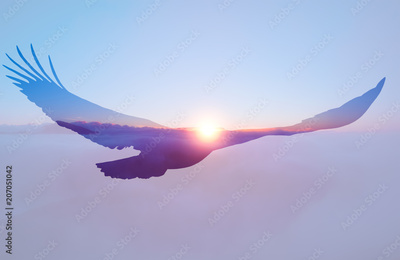 image to crop