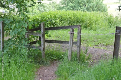 image to crop