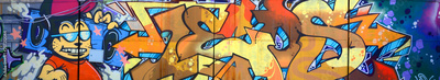 image to crop