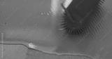 preview bw