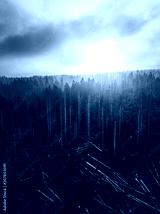 preview cold
