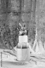 preview bw
