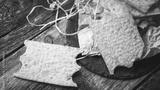 preview bw