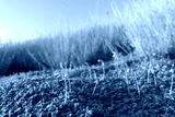 preview cold