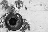 preview bw