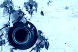 preview cold