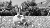 preview bw