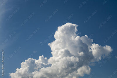 image to crop