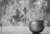 preview bw