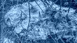 preview cold