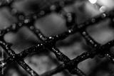 preview bw