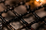 preview original