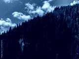 preview cold