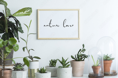 image to crop