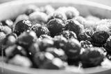 preview bw
