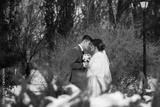 preview bw