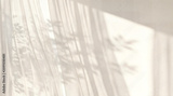 preview original