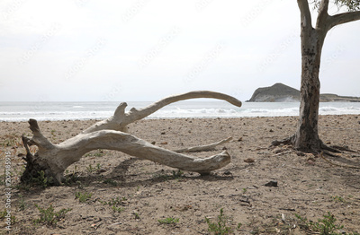 image to crop