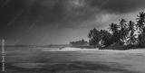 preview bw