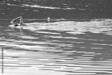 preview bw