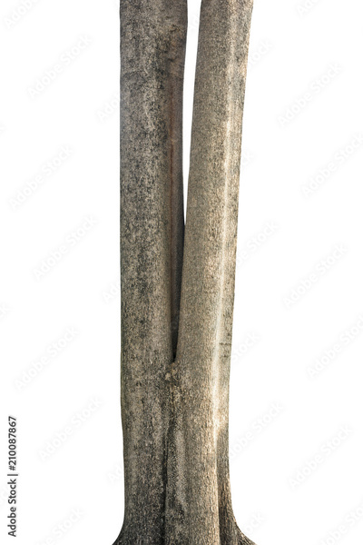 image to crop