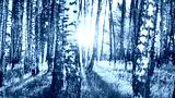 preview cold
