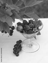 preview bw