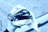 preview cold