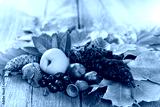 preview cold
