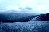 preview cold