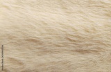 preview original