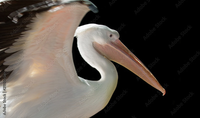 image to crop