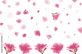 preview original