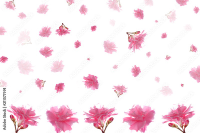 image to crop