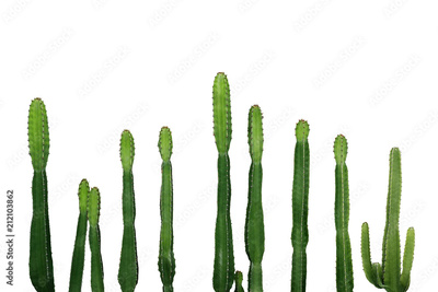 image to crop