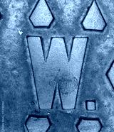 preview cold