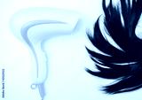 preview cold