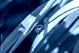 preview cold