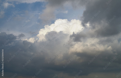 image to crop