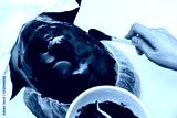 preview cold