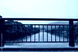 preview cold
