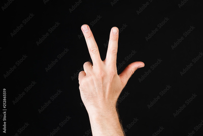 image to crop