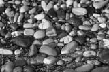 preview bw