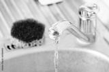 preview bw