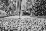 preview bw
