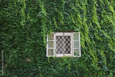 image to crop