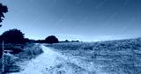 preview cold