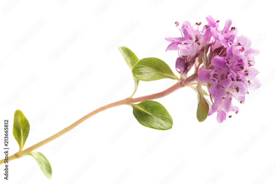 image to crop